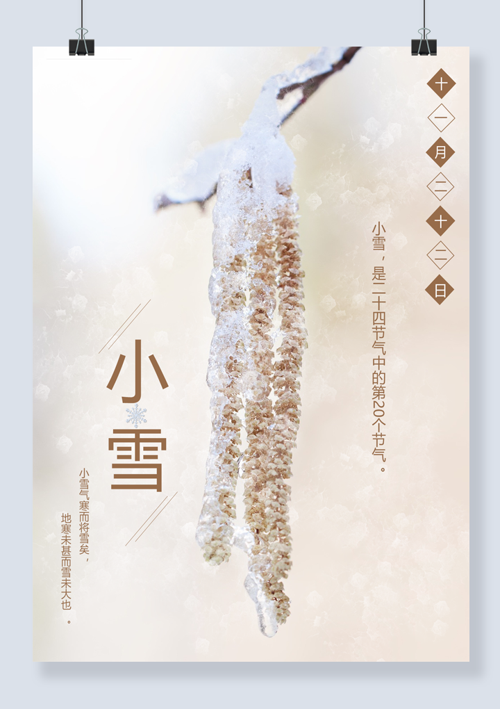 米白色简约小雪海报