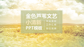 金色芦苇文艺小清新PPT模板