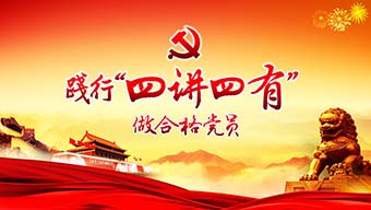 践行 四讲四有 做合格党员