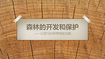 生态环境 森林开发和保护模板