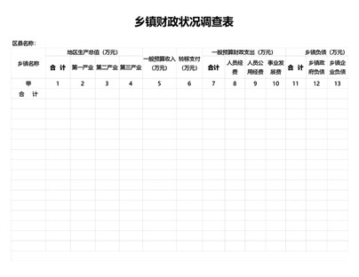 乡镇财政状况调查表