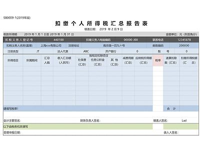 企业报税总表