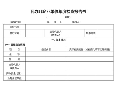 企业年报