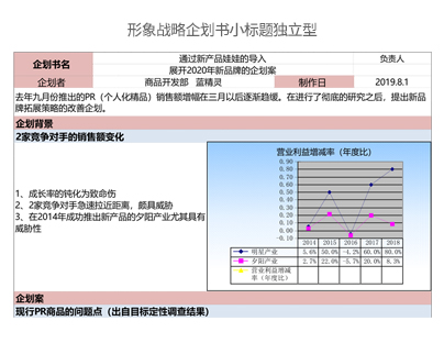 形象战略企划书小标题独立型