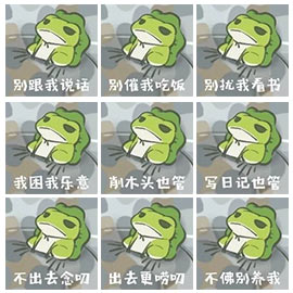 青蛙旅行