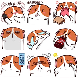 阿条薯薯