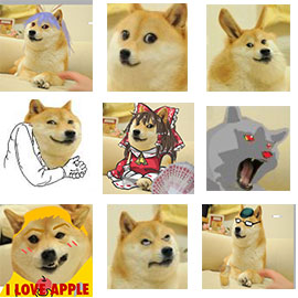 doge狗狗1