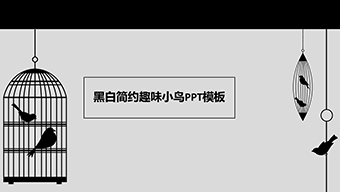 黑白简约趣味小鸟PPT模板