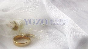 婚礼婚纱戒指片头
